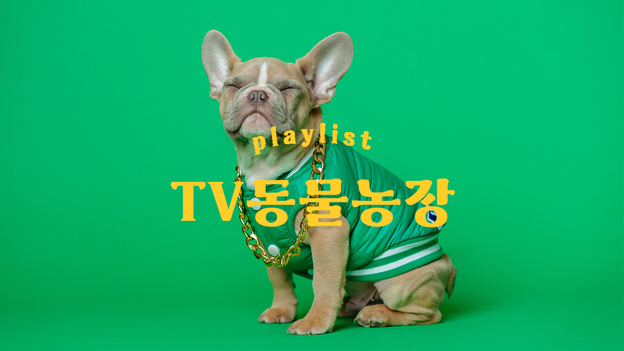 TV 동물농장 표지