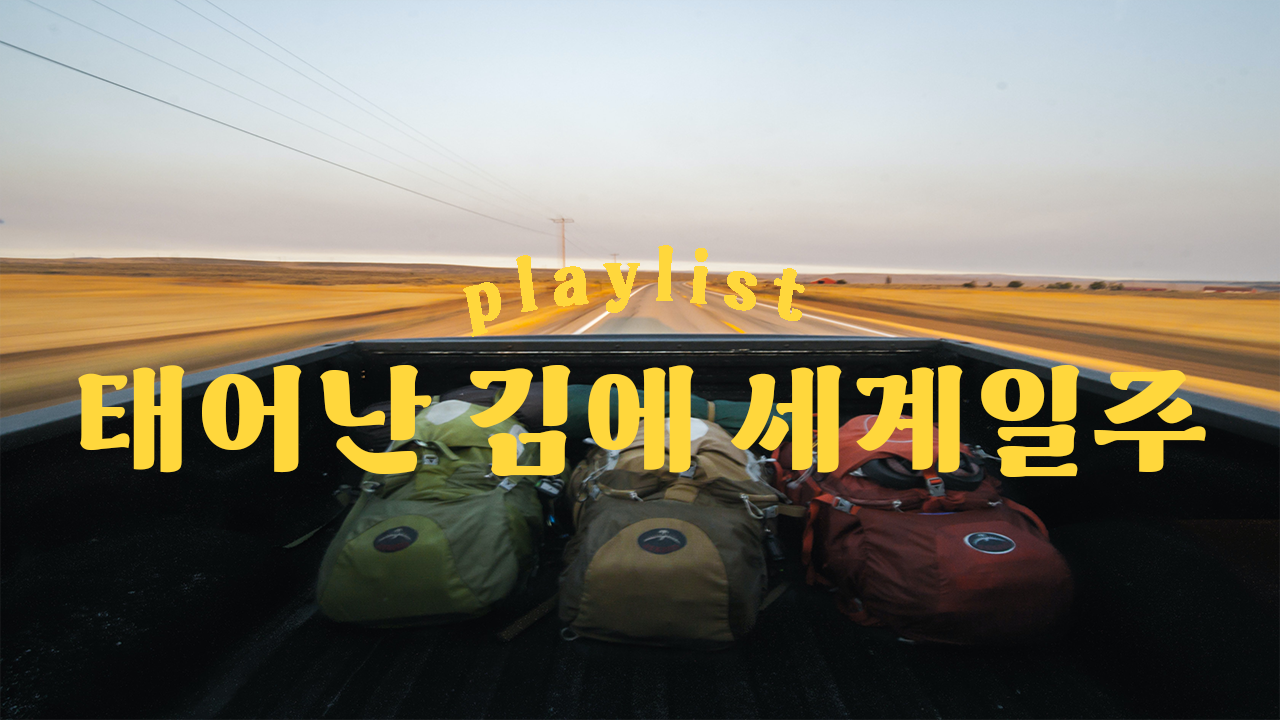 태어난 김에 세계일주 표지