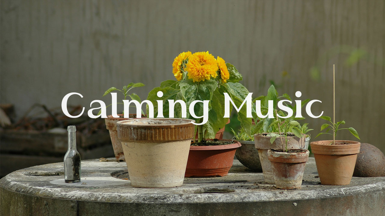 calming music 표지