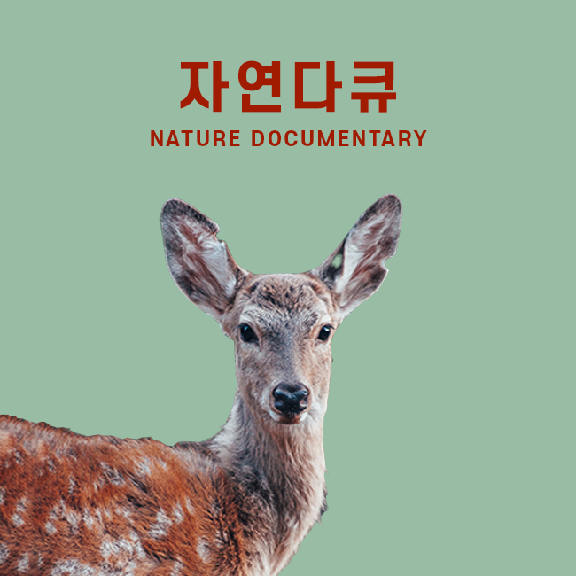 자연 다큐 표지