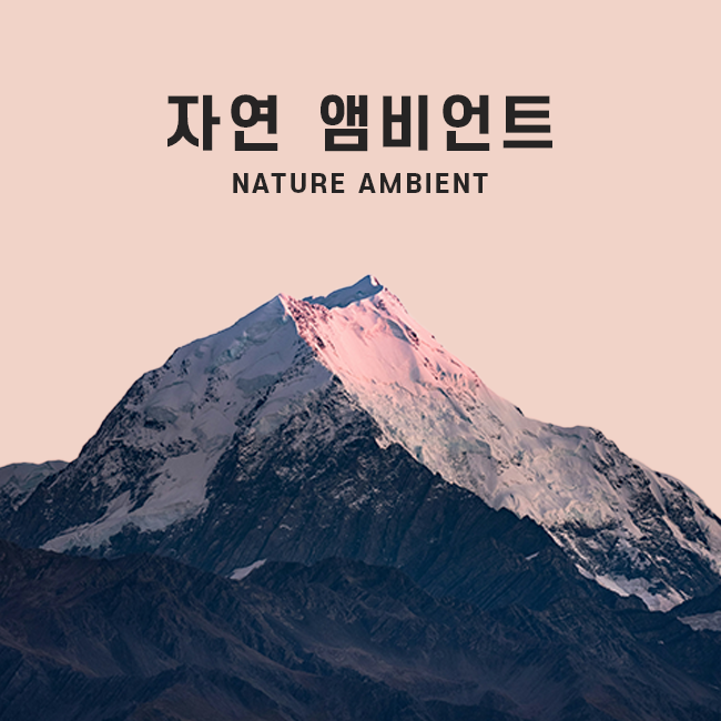 자연 앰비언트 표지